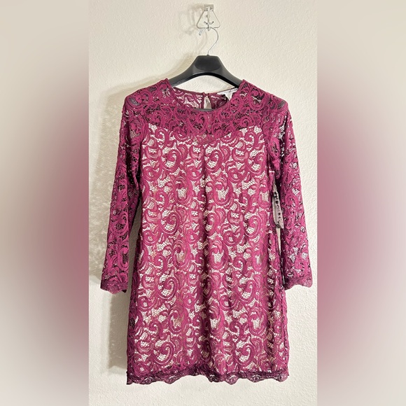 Elegant Lace Dress in Deep Pink - Picture 1 of 6